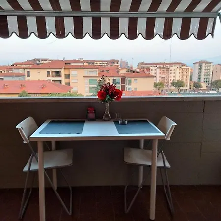 Grey And Withe Guest house